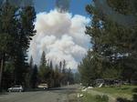 ANGORA FIRE